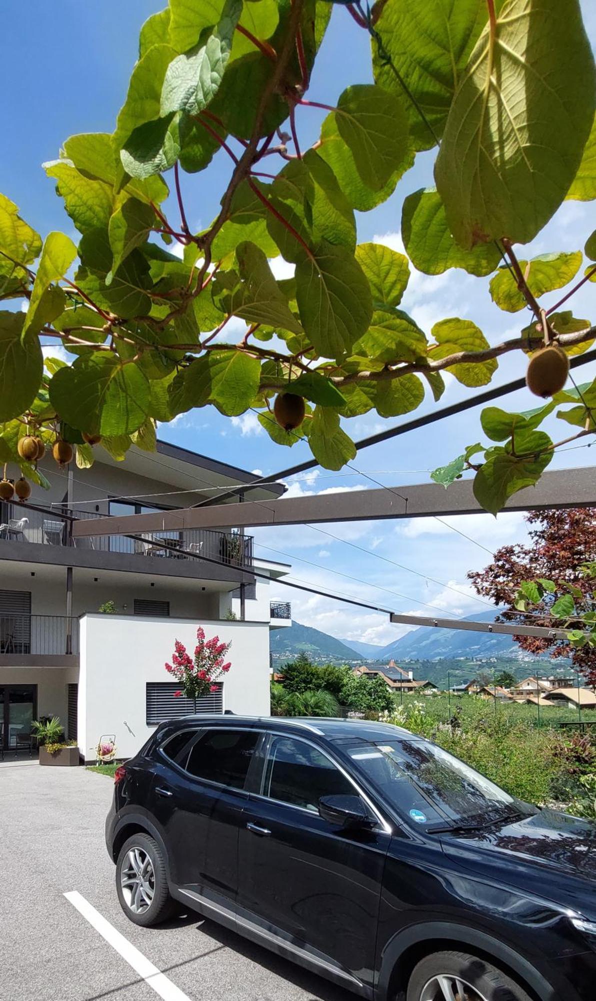 Marlingsuites - Vinea - Wieser Josef - Marling Exterior photo